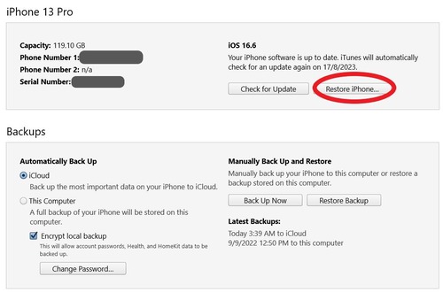 access broken iPhone via iTunes
