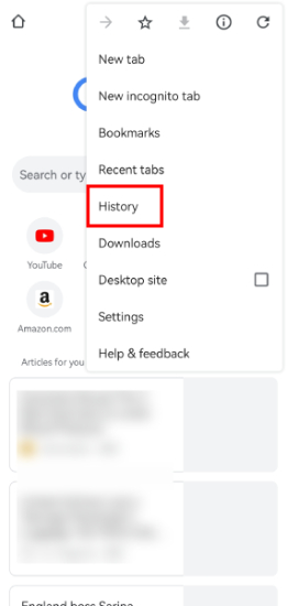 check Google web history on phone
