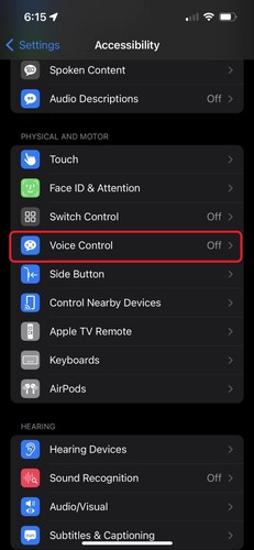 Voice Control in iPhone Settings