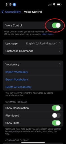 turn on Voice Control
