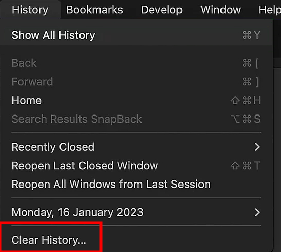 clear browsing history Safari