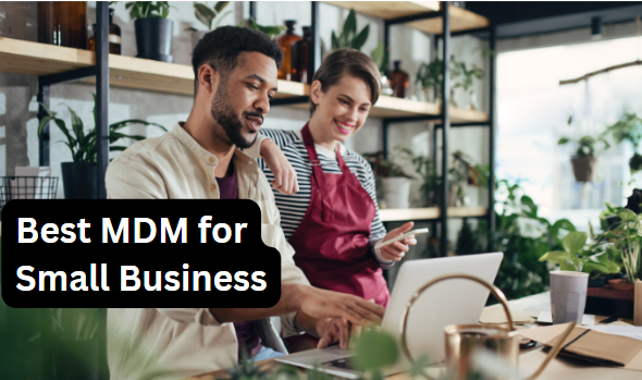 [2023]How to Choose the Best MDM Solution for Small Business