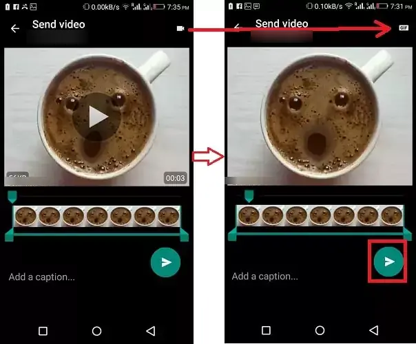 choose gif option