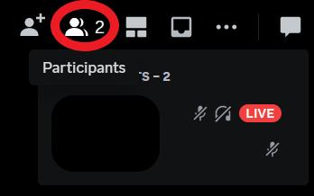 view participants in Discord