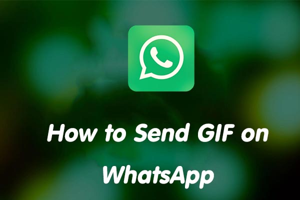 how to send gif on whatsapp