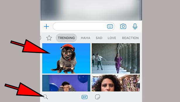 search gif iphone