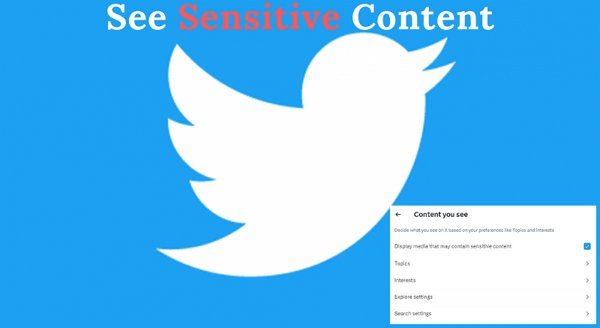 How to See Sensitive Content on Twitter?