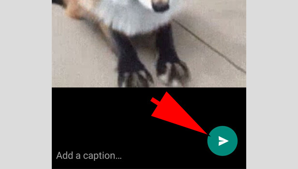 send gif android
