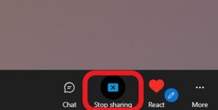 Stop sharing on Skype web