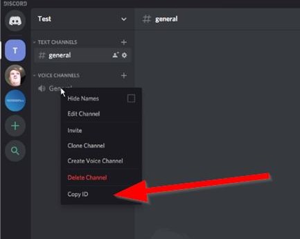 copy voicechannel ID