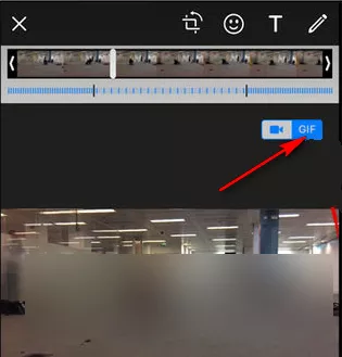 How to Convert Video into GIF in WhatsApp [2023]
