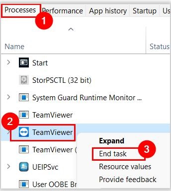 delete TeamViewer processes
