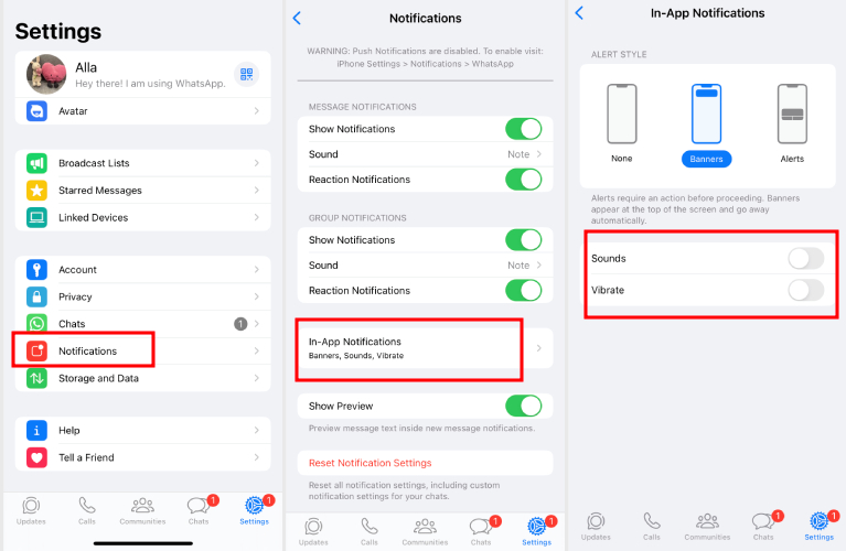 how to mute call on WhatsApp on iPhone