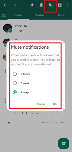 Comment mettre en sourdine un contact WhatsApp sur Android