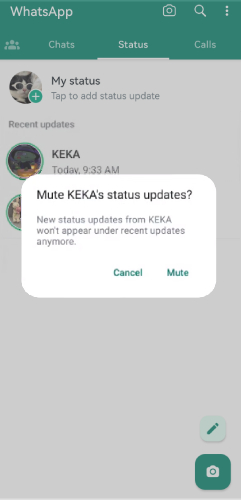 mute WhatsApp status on Android