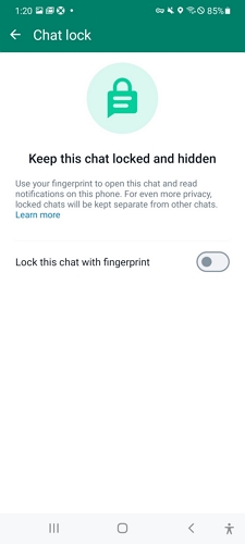 tap on lock this chat with fingerprint