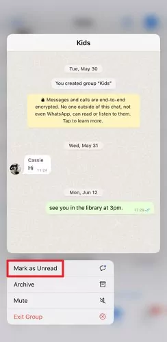 Messages non lus de groupe WhatsApp