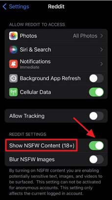 block NSFW content on Reddit iPhone