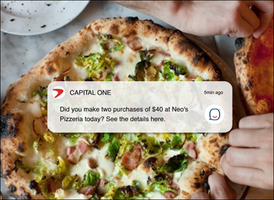 capital one chatbot