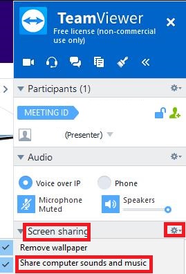 audio settings from meeting interface