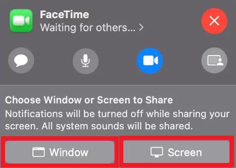 Choose Window or Screen to Share