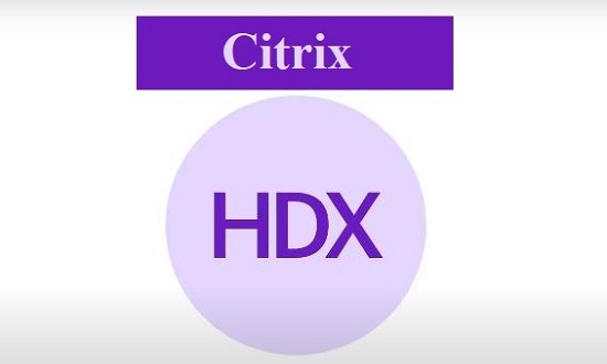 Citrix screen sharing technology