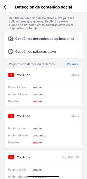 comprobar detalles de la palabra clave detectad YouTube