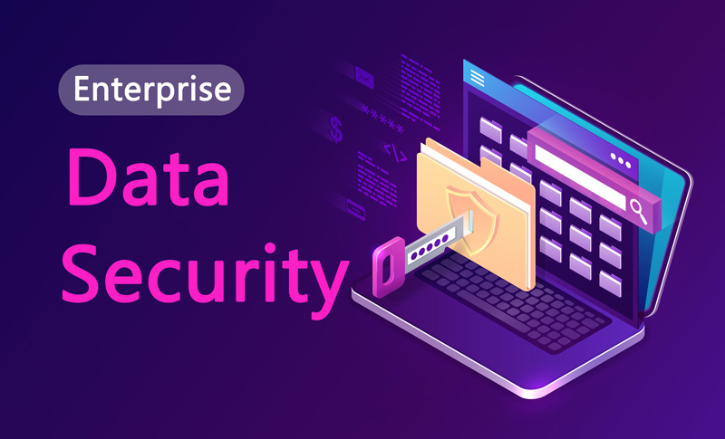 enterprise data security