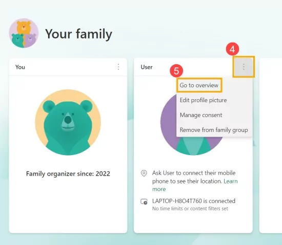 go to overview on Microsoft Family Safety