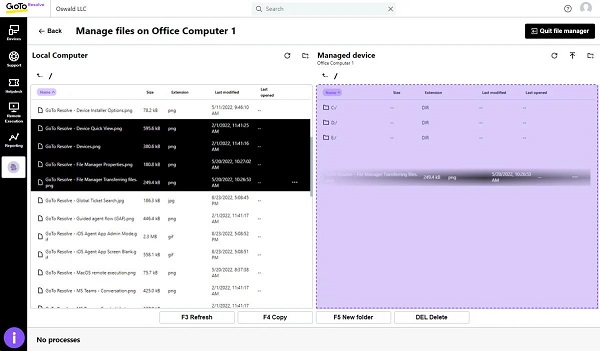 GoToAssist Interface