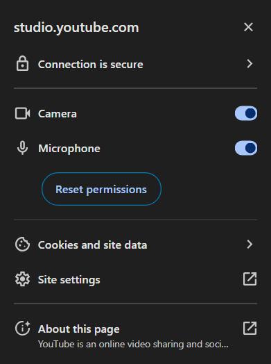 Allow Camera and Mic permissions