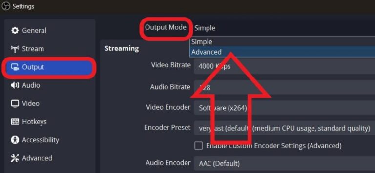 Advanced Output settings on OBS