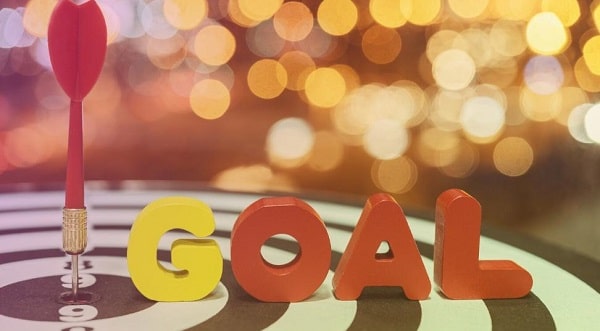 Establish Goals