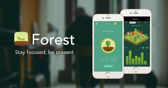 Aplicación Forest