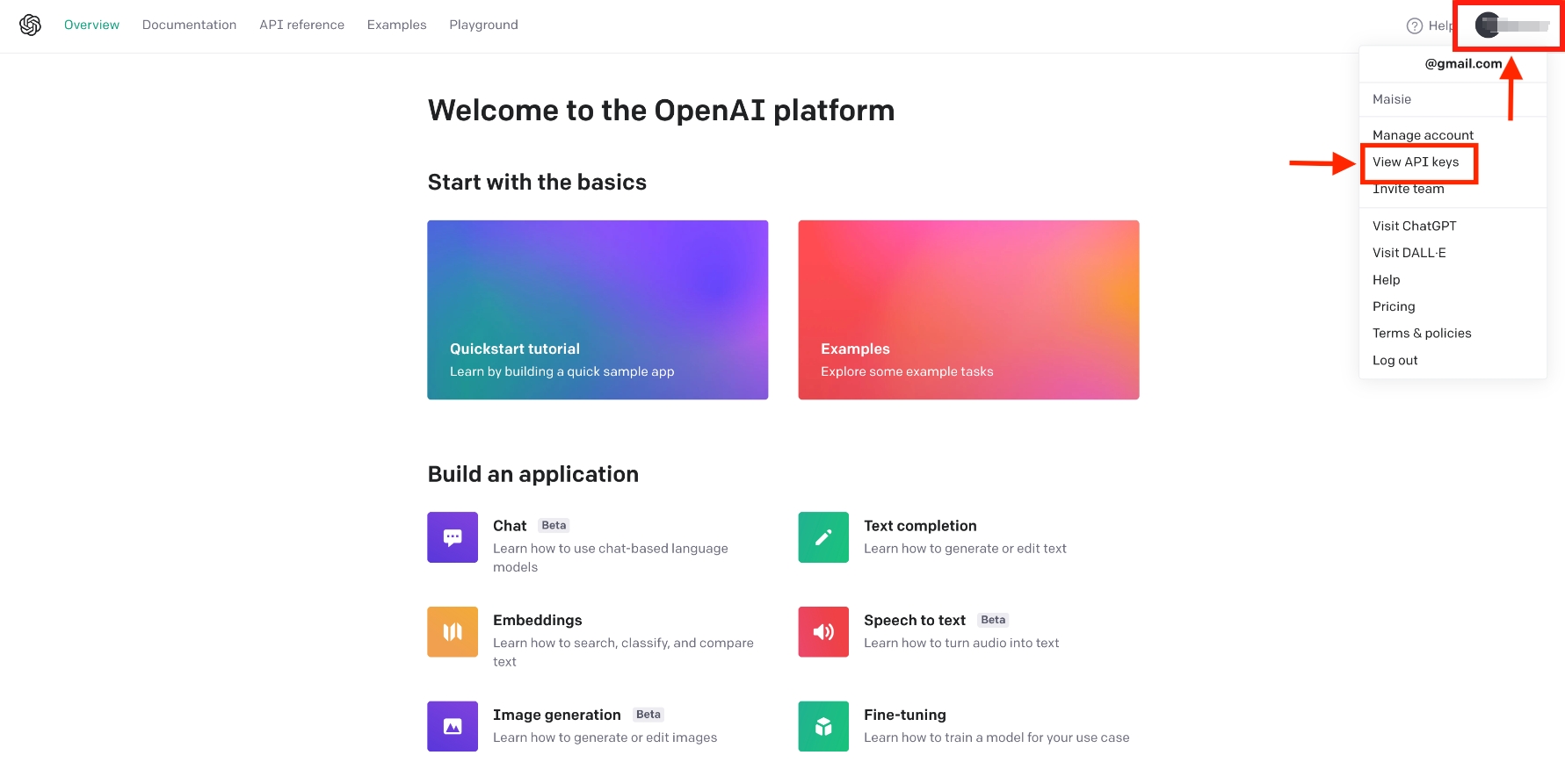 Chat got open. API. Chat.OPENAI.com. OPENAI docs. Universe .OPENAI.