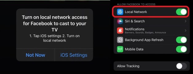enable Local Network on iPhone