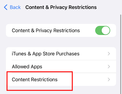 iPhone Content Restriction