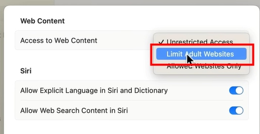 elegir Limitar Sitios Web para Adultos