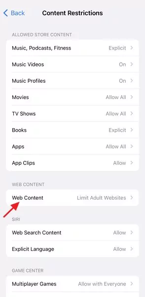 tap web content on iPhone screen time