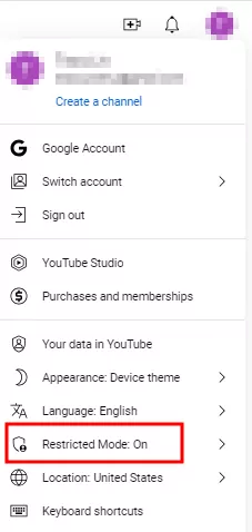 check YouTube Restricted Mode