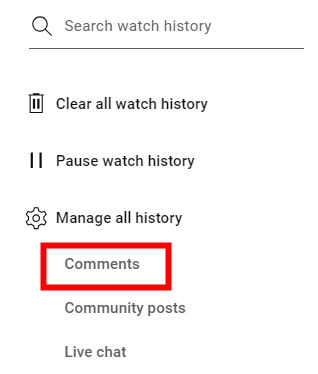 YouTube Comments option