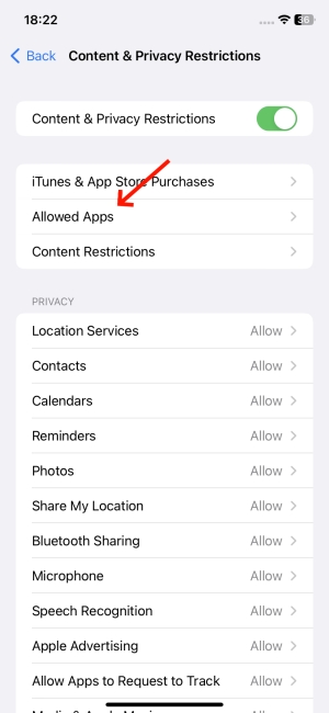 allowed apps in iPhone