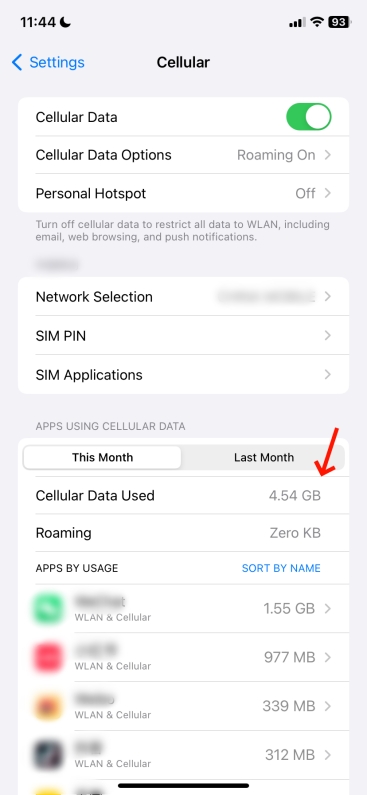check data usage on iPhone
