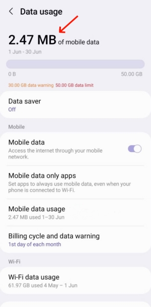 check data usage on Samsung