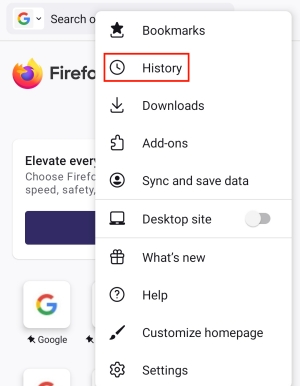 history on Firefox browser