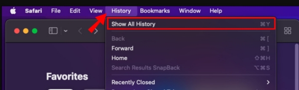 show all Safari history on Mac