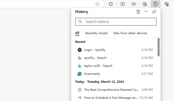view Edge browser history on PC