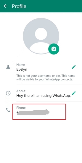 your WhatsApp number