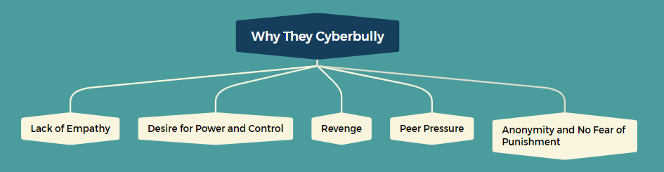 why they cyberbullying