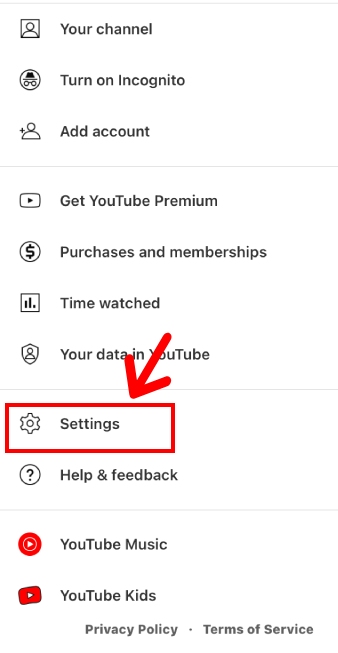 YouTube go to settings